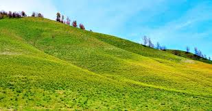 Bukit teletubis nusa penida