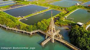 Hutan Mangrove Pasir Kadilangu