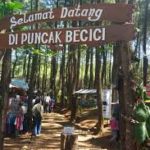 Puncak Becici