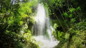 Keunikan Curug Sigembor
