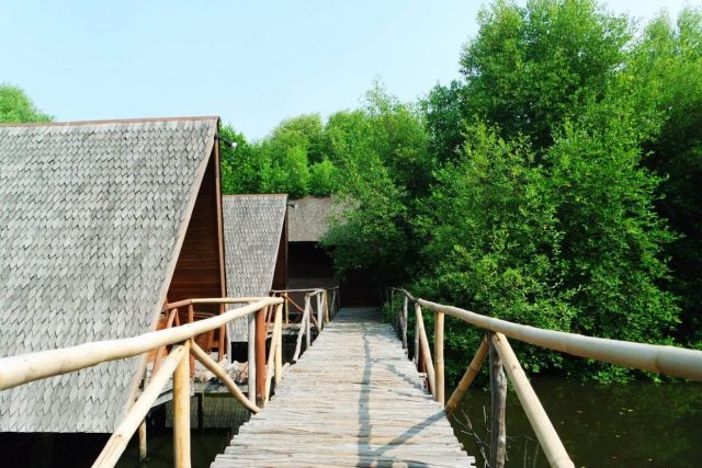 hutan mangrove jakarta traveller jakartatraveller 4