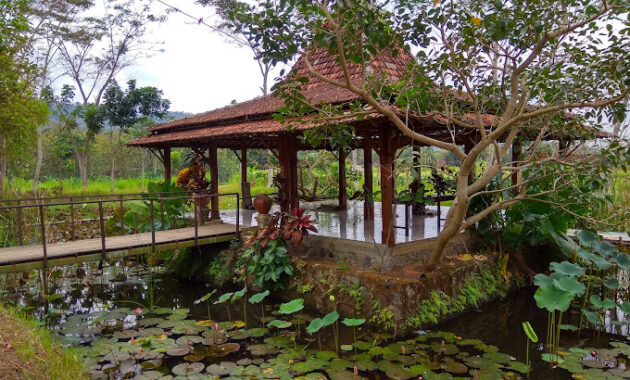 Serunya Berwisata Khas Pedesaan di Desa Wisata Boro