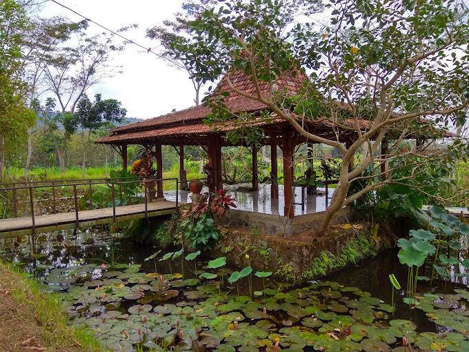 Serunya Berwisata Khas Pedesaan di Desa Wisata Boro