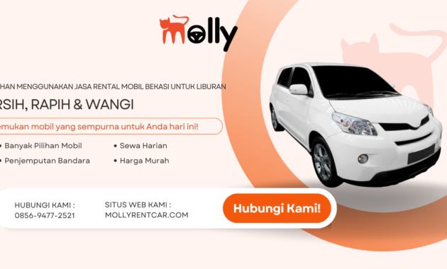 Kelebihan Menggunakan Jasa Rental Mobil Bekasi untuk Liburan