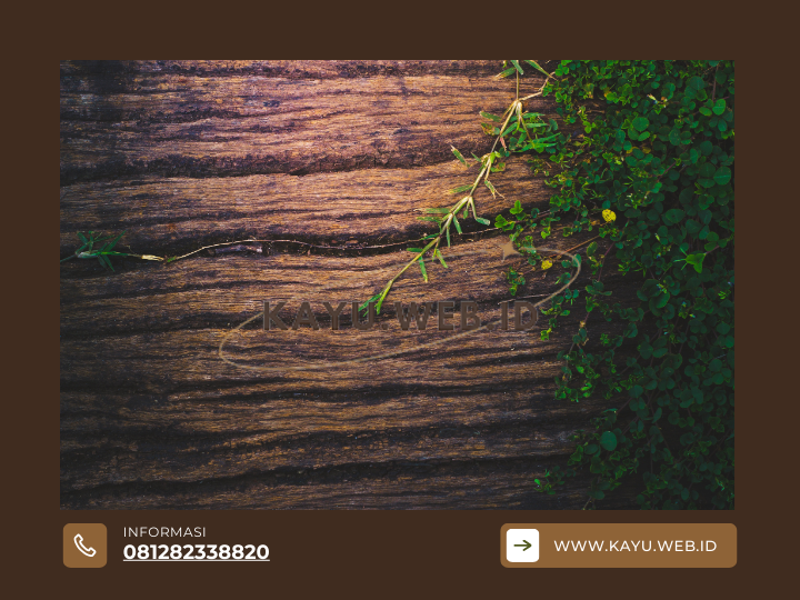 Kayu Bengkirai vs Kayu Kruing Memilih Material Terbaik untuk Setiap Proyek