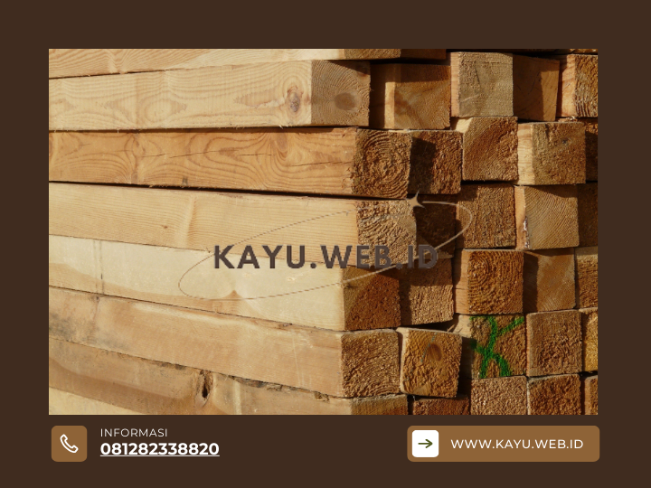 Kayu Kruing vs Kayu Kompas Panduan Lengkap untuk Memilih Material Terbaik